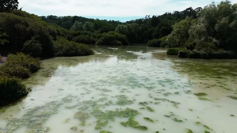 Aerial drone flyover of tranquil pond surrounded by trees in Devon, England Stock Footage 337819330
