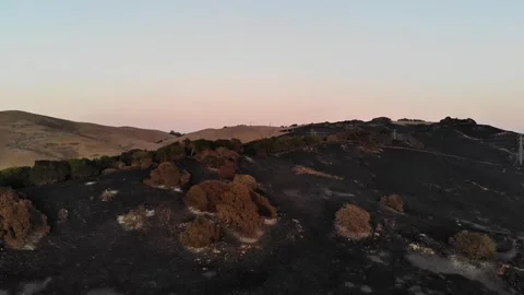 Aerial Drone Flyover of Wildfire Burn Scar at Dusk, Napa County, California, 4K Vídeo Stock 336351663
