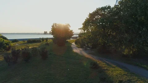 Aerial drone fooage. Moving between trees in beautiful sunny morning just after Vídeos de archivo 112429732