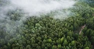 Aerial / Drone Footage Above Clouds In The Ozark Mountains In Arkansas Stock Footage