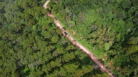 Aerial drone footage of car driving on country road in forest.  Stock Footage 222477853