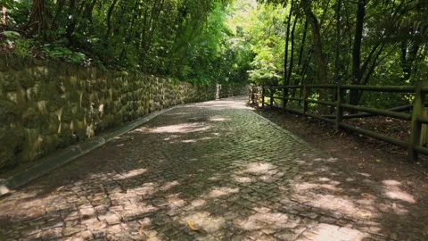 Aerial Drone Footage of a Cobblestone Path Through a Coimbra Park Vídeos de archivo 345840423