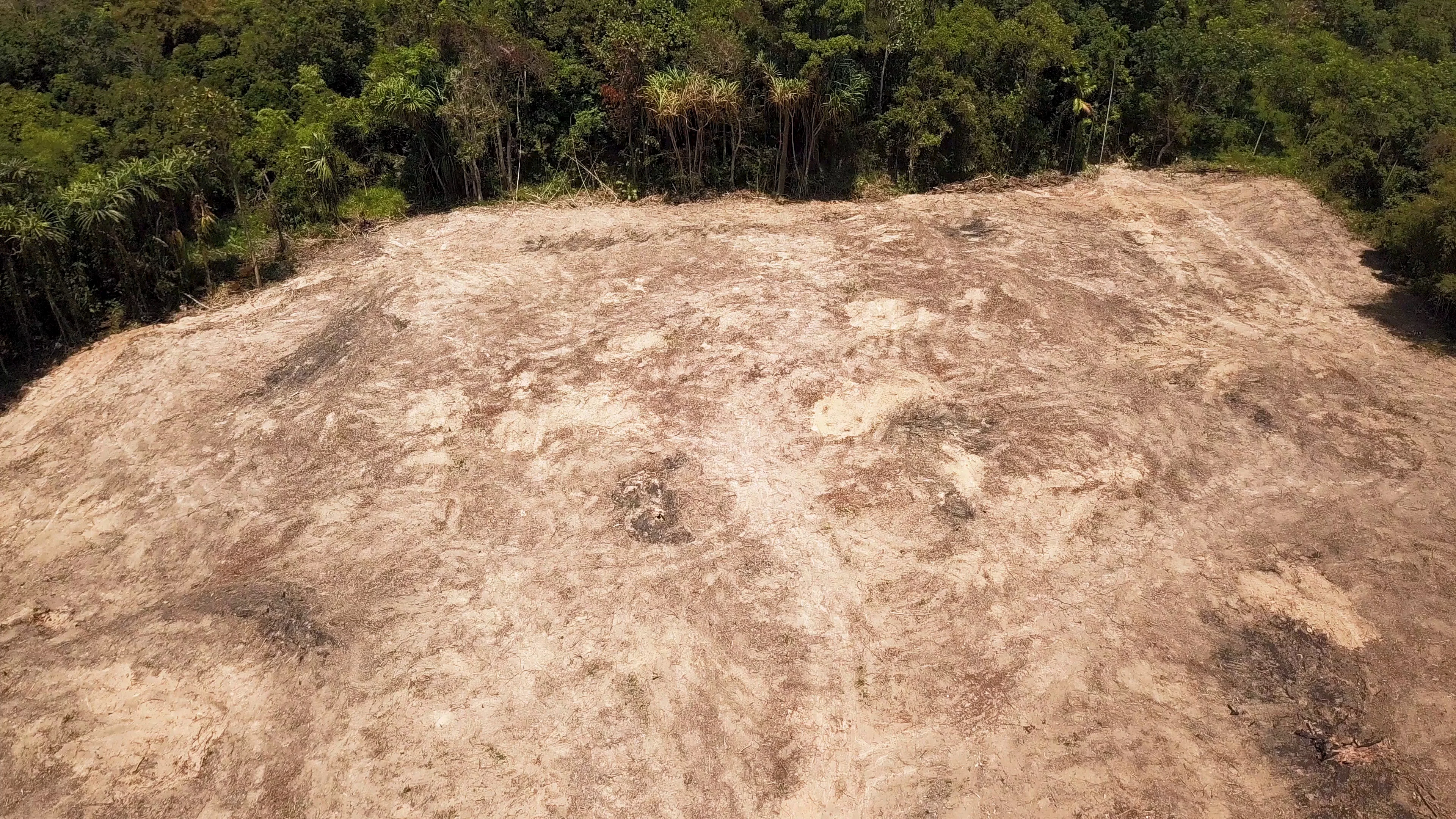 Aerial drone footage of deforestation of, Stock Video