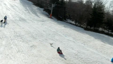 Aerial drone footage of dog chasing someone sledging down slope.  Tracking Stock Footage