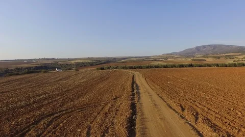 Aerial drone footage of empty fields, road between and olive plantation. Stock Footage 119239301