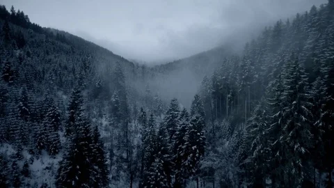 Aerial drone footage of forest and mountains in winter, Kniebis, Black Forest, Stock Footage