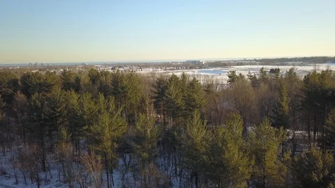 Aerial drone footage of a forest during winter. Stock Footage 102201848