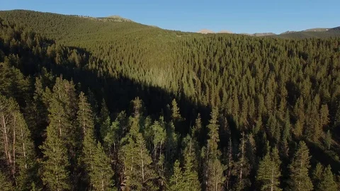Aerial drone footage of forests, trees in Colorado Rockies (backward 1) Stock Footage 92186053