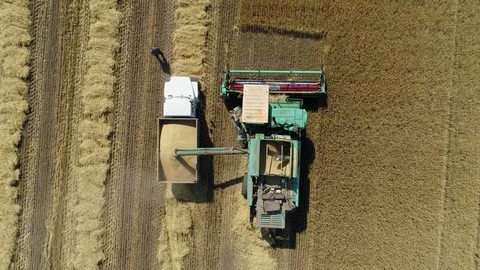 Aerial drone footage. Harvester spills grain into a truck. Top view Stock Footage