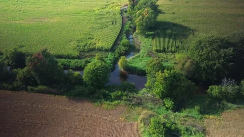 Aerial Drone Footage over corn field and Creek in Drummondville Quebec Canada Stock Footage 258200211