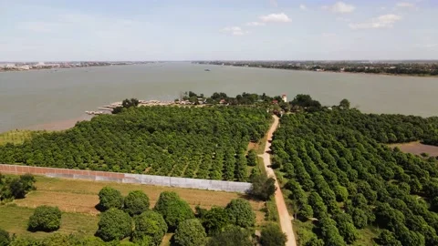 Aerial drone footage over the north peak of Silk Island among mango trees Stock Footage