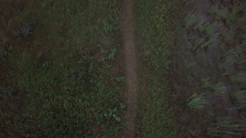Aerial drone footage over path down banks of Pembina River in North Dakota Stock Footage 122768659