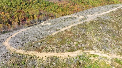 Aerial drone footage passing over a recently clearcut forest in western, NC. Video stock 269742553