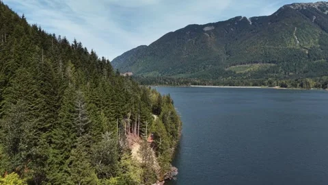Aerial Drone Footage of a Pine-Lined Lake Shoreline in the BC Mountains Stock-Footage 345845706