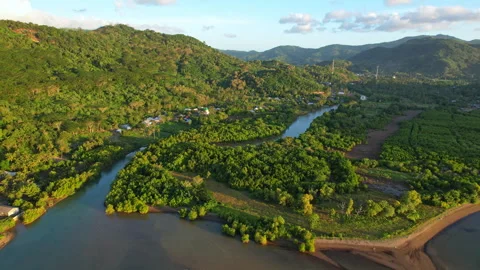 Aerial drone footage of a river surrounded by forests, Lombok island, Indonesia 库存影片 337440099