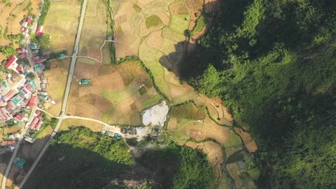 Aerial drone footage showing patchwork rice fields and a small village on the Stock Footage 346671690