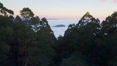 Aerial Drone Footage taken of fog over the Yarra Valley from atop Mt Donna Buang Stock Footage