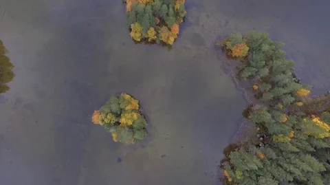 Aerial Drone Footage Top View of Autumn Forrest Islands On a Lake Stock Footage