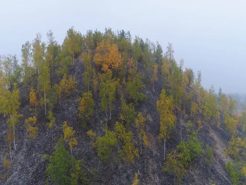 Aerial Drone Footage. View of autumn hills with forests. Stock Footage