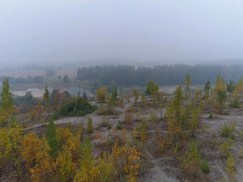 Aerial Drone Footage. View of autumn hills with forests. Stock Footage