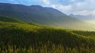 Aerial Drone Footage View: Flight Over Autumn Mountains With Forests, Meadows Stock Footage