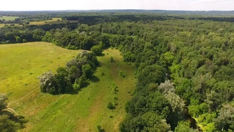 Aerial Drone Footage View Flying from the forest  Beautiful landscape. Stock Footage 101293460
