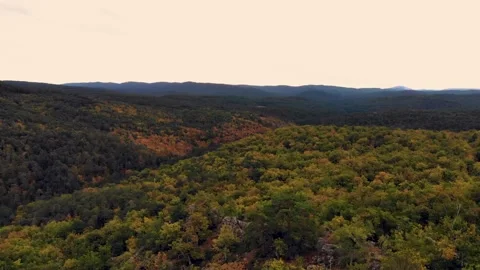 Aerial drone forest view in autum Vídeo Stock 219698130