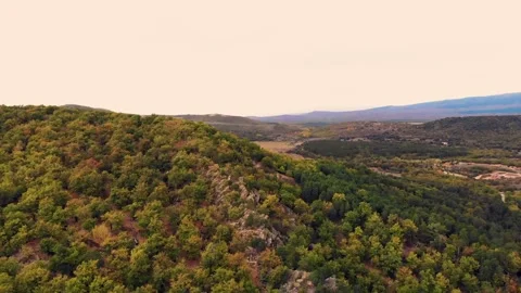 Aerial drone forest view in autum Vídeo Stock 219698137