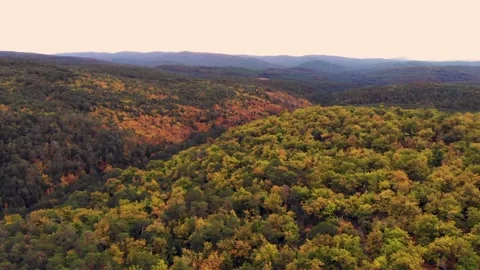 Aerial drone forest view in autum Vídeo Stock 219698138