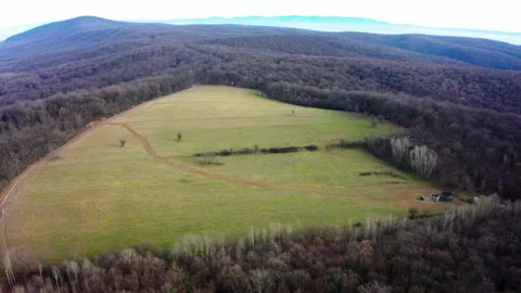 Aerial Drone Forward Flight Over Winter Field Surrounded by Forest Stock Footage 324492214