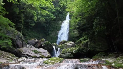 Aerial Drone Forward Flight Toward Lush Green Waterfall in Pristine Nature Video stock 336251482