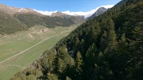 AERIAL DRONE FPV FLYING OVER Pine Forest AND DISCOVERING A STUNNING GREEN VALLEY Stock Footage 170715161