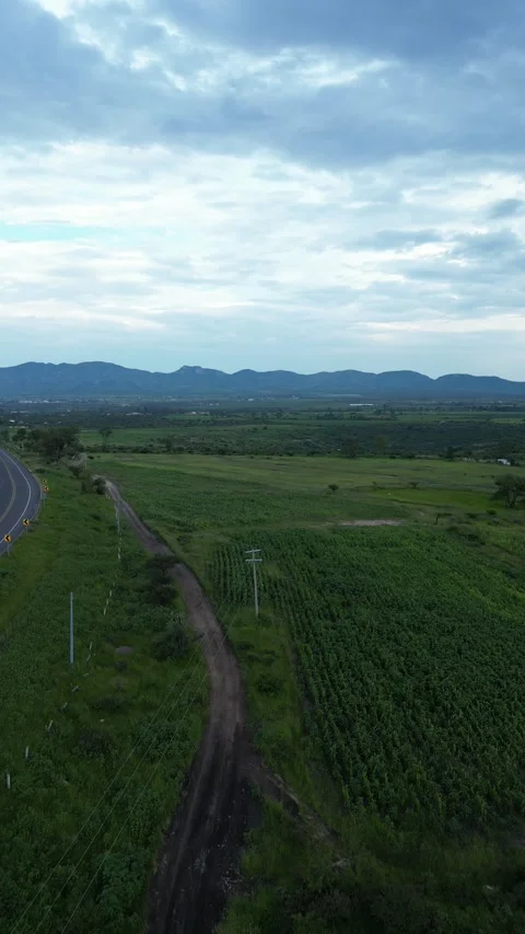 Aerial drone of green fields with dirt roads and power lines, central Mexico Stock Footage 341548158