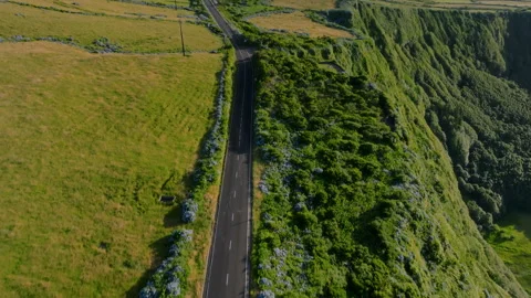 Aerial drone high-angle perspective of a straight asphalt road running along the Stock Footage 335705860