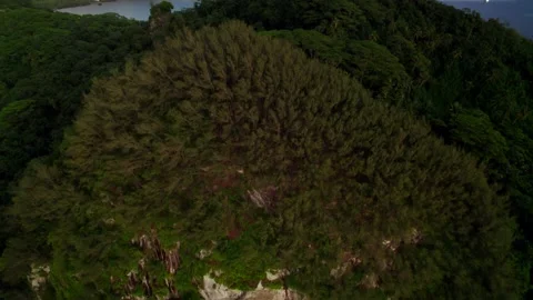 Aerial Drone High Angle Shot of rocky Hill in Raiatea 10Bit Stock Footage 171605132