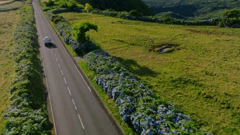 Aerial drone high-angle tracking shot of a black car driving down a straight 库存影片 335246747
