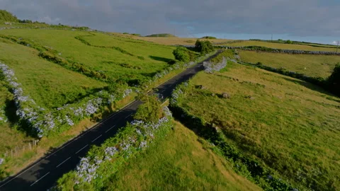 Aerial drone high-angle tracking shot of a car driving down a winding road Vidéo 335706322