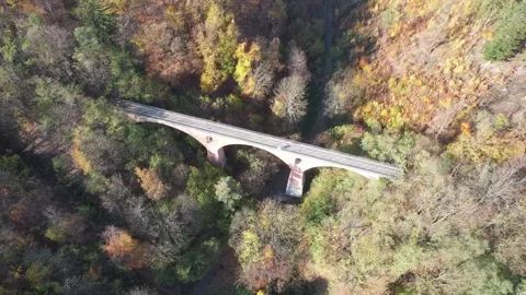 Aerial drone high angle view of a brick railway viaduct in an autumn forest Stock Footage 259407224