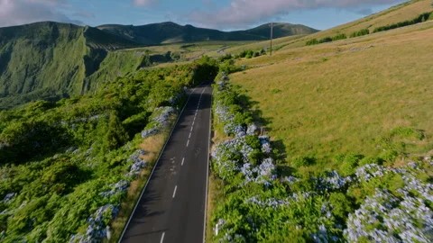 Aerial drone high-angle view of a straight asphalt road cutting through lush Stockbeeldmateriaal 335706031