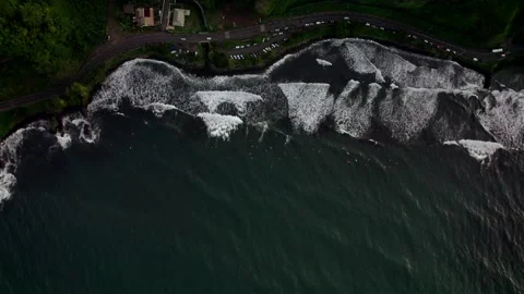 Aerial Drone High Top-Down Moving Down to Ocean, Surfers &amp; Tropical Coast 10Bit Stock Footage 171631436