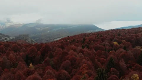 Aerial drone image of the clouds and Mount Baldo. Stock Footage 141901659