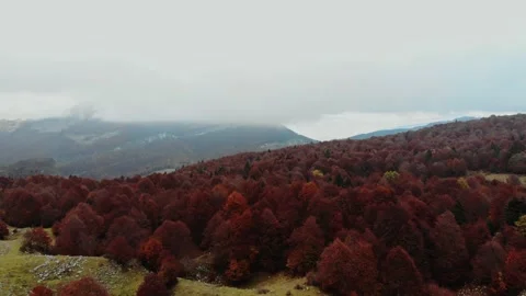 Aerial drone image of the clouds and Mount Baldo. Stock Footage 141901783