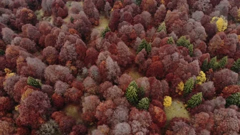 Aerial drone image of the clouds and Mount Baldo. Stock Footage 141901809