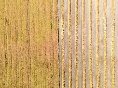 Aerial drone image of fields with diverse crop growth based on principle of p Stock Photos