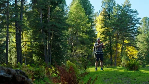  Aerial Drone inspire View: a man hiking on the forest of Altai Stock Footage 201420454