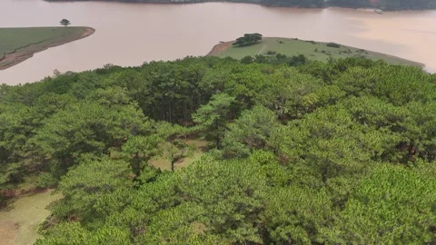 Aerial Drone of Isolated Pine Trees on Suối Vàng Lake Peninsula 動画素材 337013087
