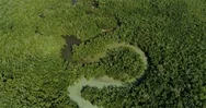 Aerial Drone, Kayaking Florida Nature, Mangroves, Marsh Stock Footage
