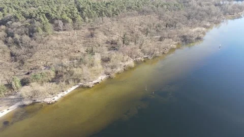 Aerial drone Landscape of algae growing in Grunewald Forest in west Berlin .. Vídeo Stock 243196349