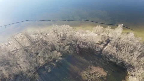 Aerial drone landscape of algae growing in water nature scene in Grunewald .. 動画素材 243196592