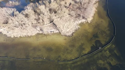 Aerial drone landscape of algae growing in water nature scene in Grunewald .. Stock Footage 243196639